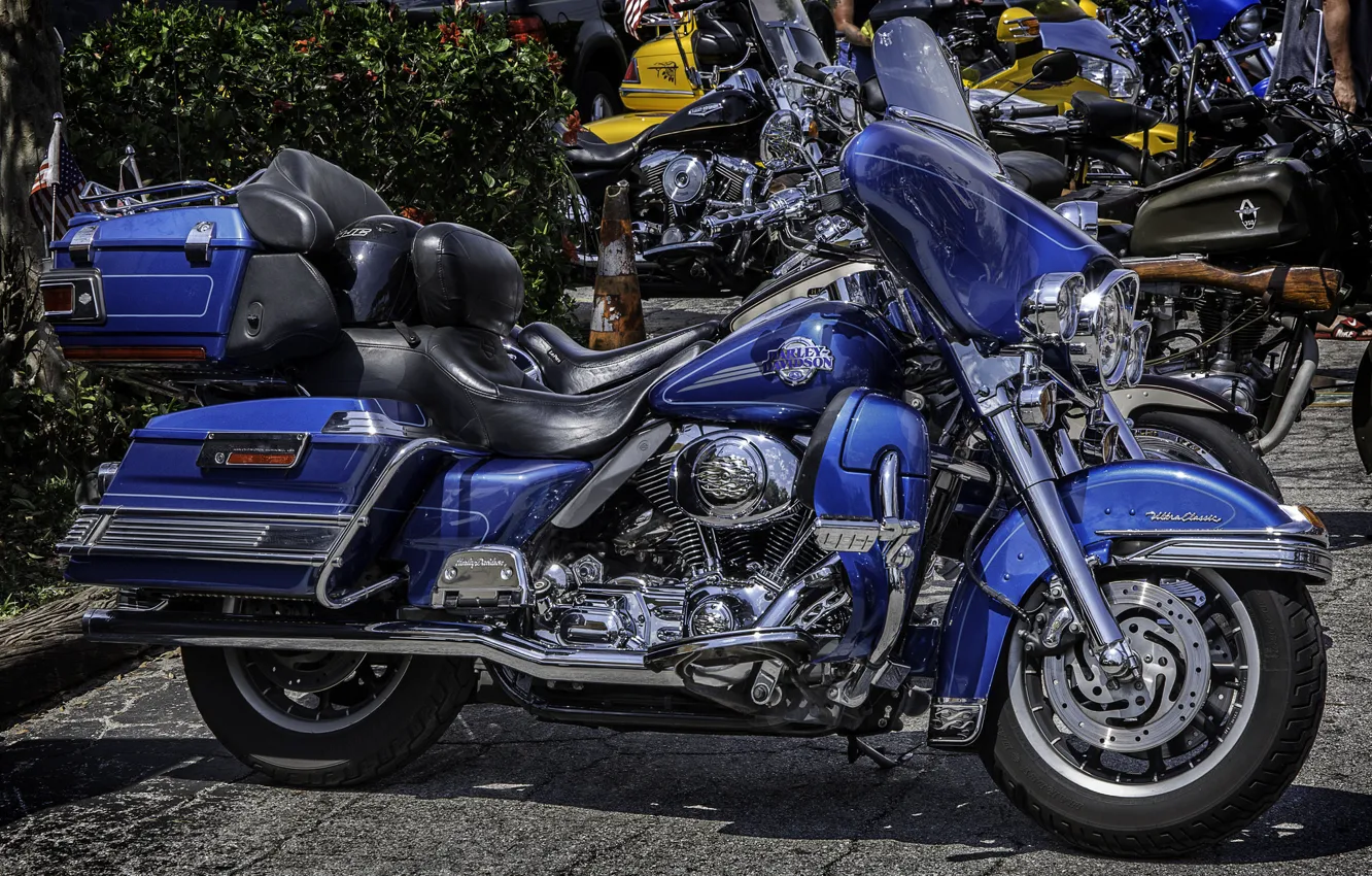 Фото обои дизайн, мотоцикл, Harley Davidson