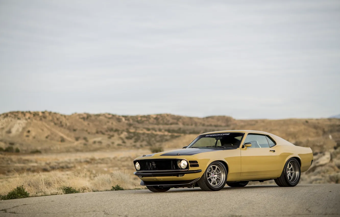 Фото обои Mustang, Boss 302, 1970, Desert