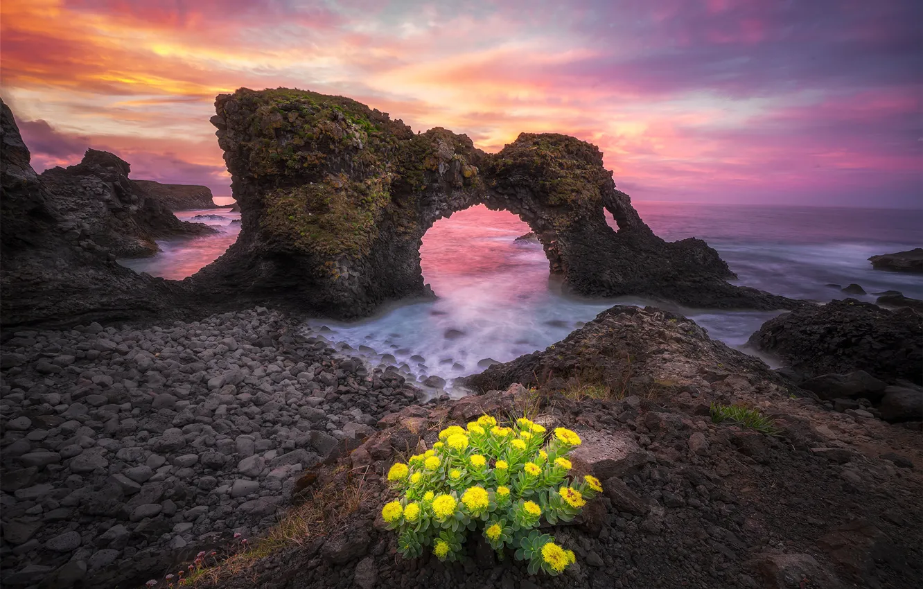 Фото обои море, пейзаж, закат, цветы, природа, камни, скалы, берег