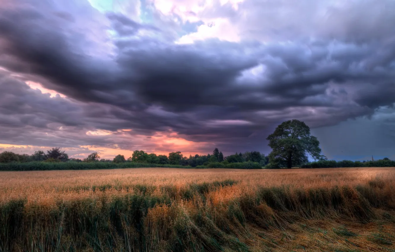 Фото обои поле, пейзаж, Cheshire, Congleton, Astbury