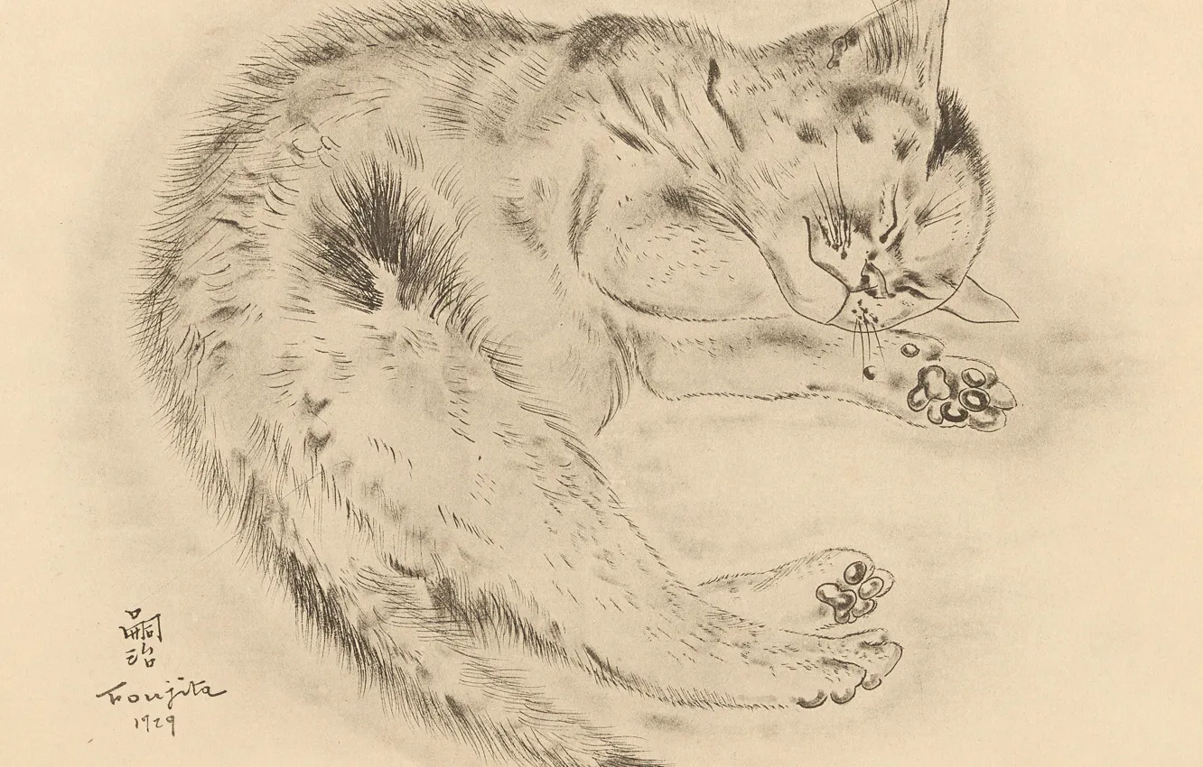 Фото обои котик, пушистый, спит, милашка, 1929, Tsuguharu Foujita, Книга Кошек