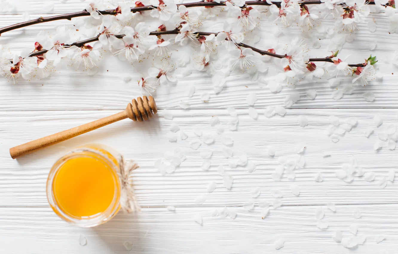 Фото обои цветы, ветки, весна, мед
