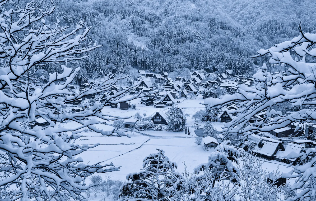 Фото обои зима, снег, дома, Япония, деревня, остров Хонсю, Гокаяма, Сиракава-го