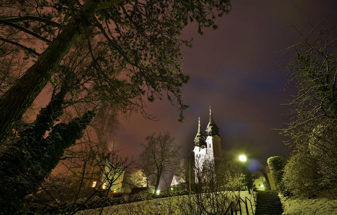 Фото обои зима, снег, деревья, ночь, город, огни, парк, Польша