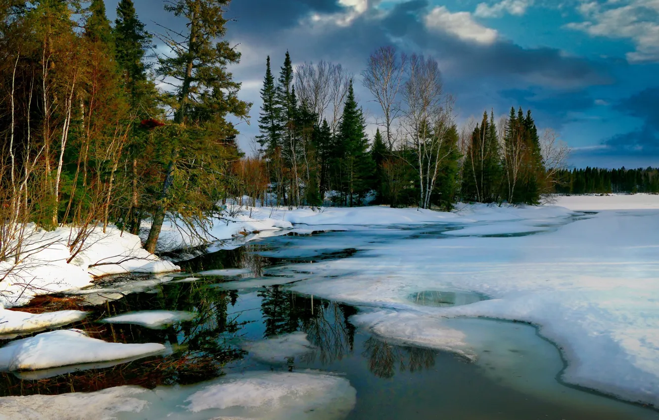 Фото обои лес, снег, пейзаж, природа, озеро, лёд, весна, Канада
