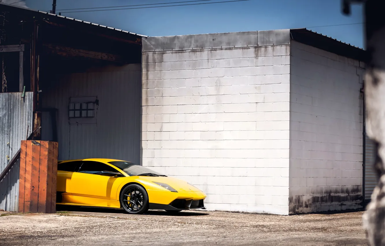Фото обои Lamborghini, жёлтая, Murcielago, adv