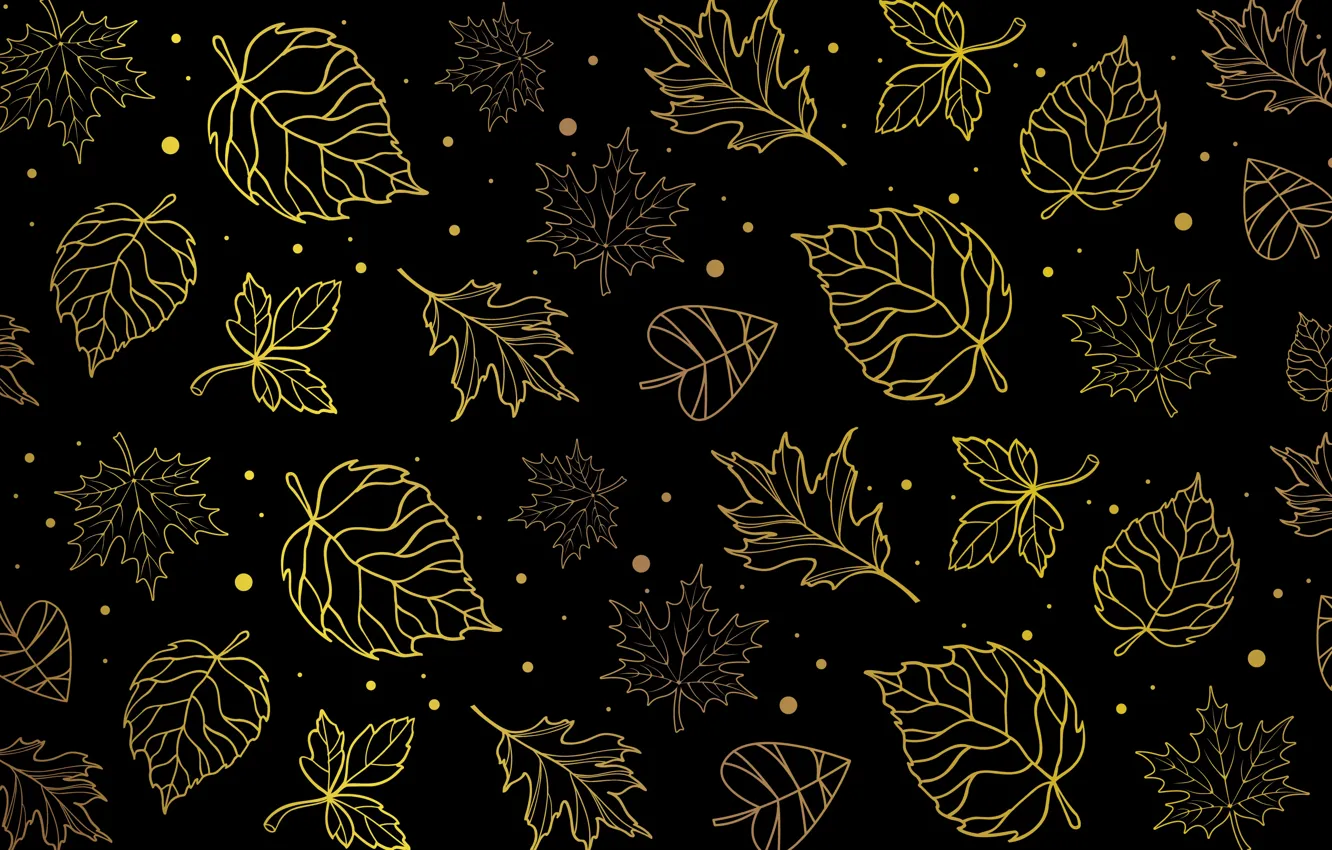 Фото обои осень, листья, желтый, узор, листва, текстура, контур, черный фон