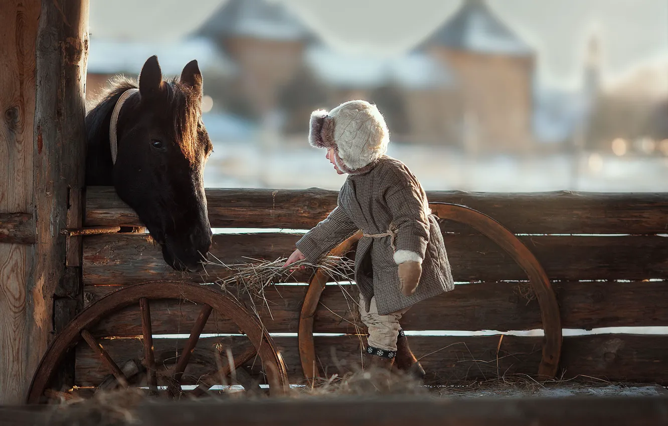 Фото обои зима, радость, лошадь, забор, мальчик, сено, кормление