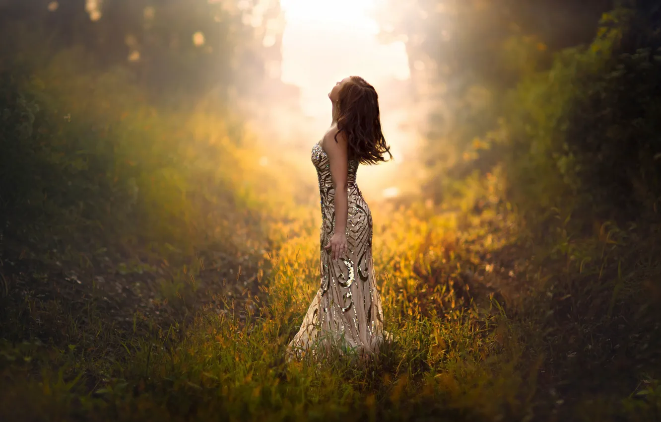 Фото обои трава, девушка, свет, природа, поза, фигура, платье