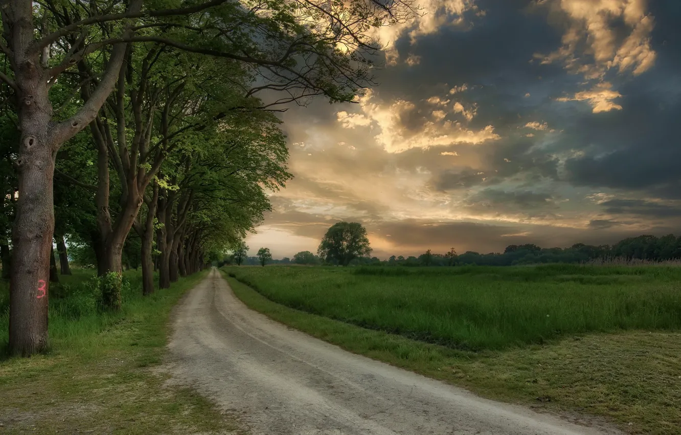 Фото обои дорога, закат, природа