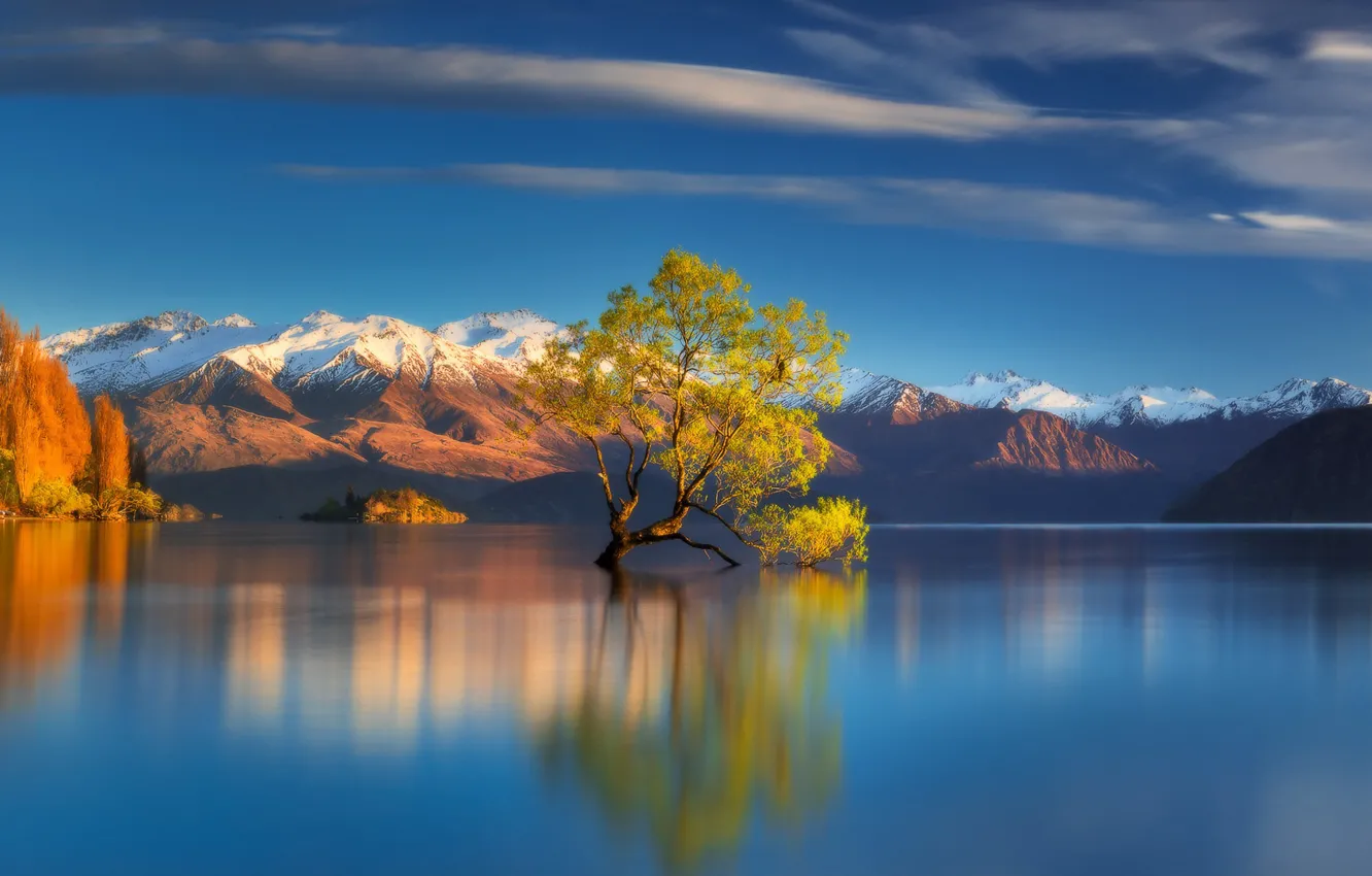 Фото обои осень, горы, озеро, дерево, Новая Зеландия, New Zealand, Lake Wanaka, Южные Альпы