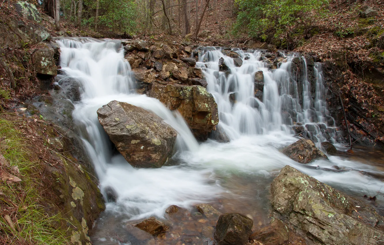 Фото обои лес, камни, водопад, Alabama, Bains Gap Falls