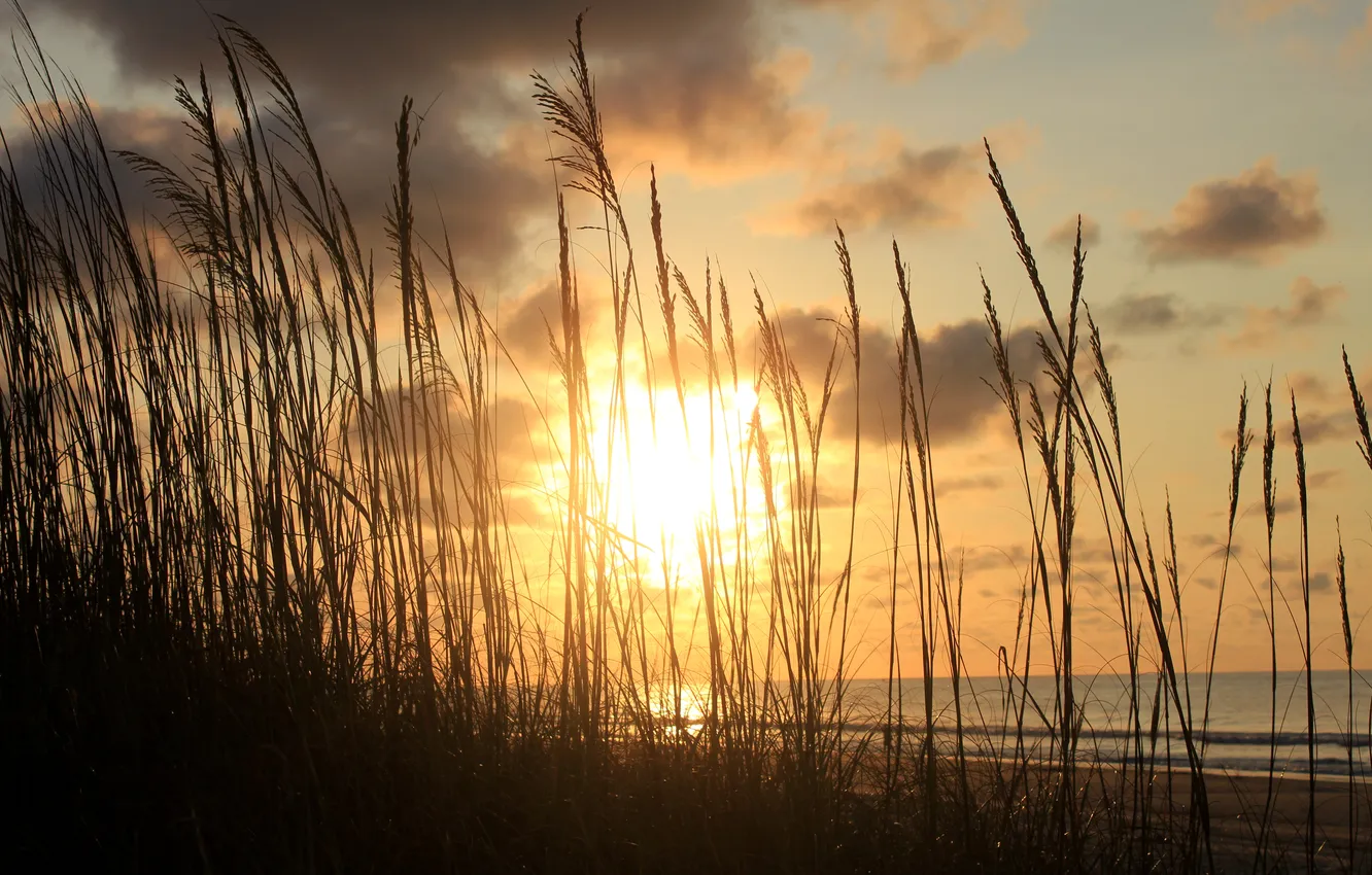 Фото обои песок, море, трава, солнце, облака, закат