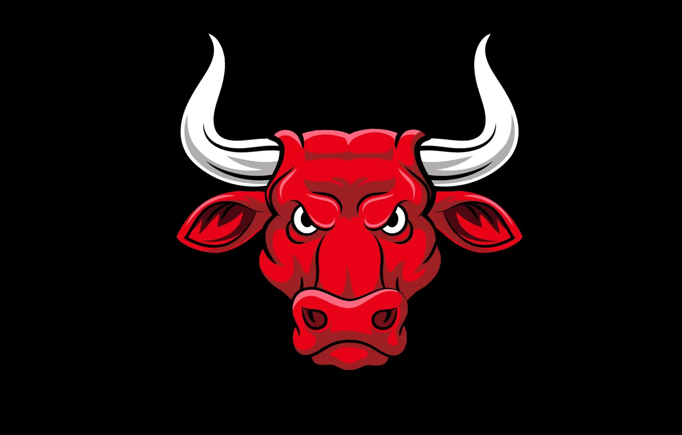 Фото обои рога, черный фон, бык, bull