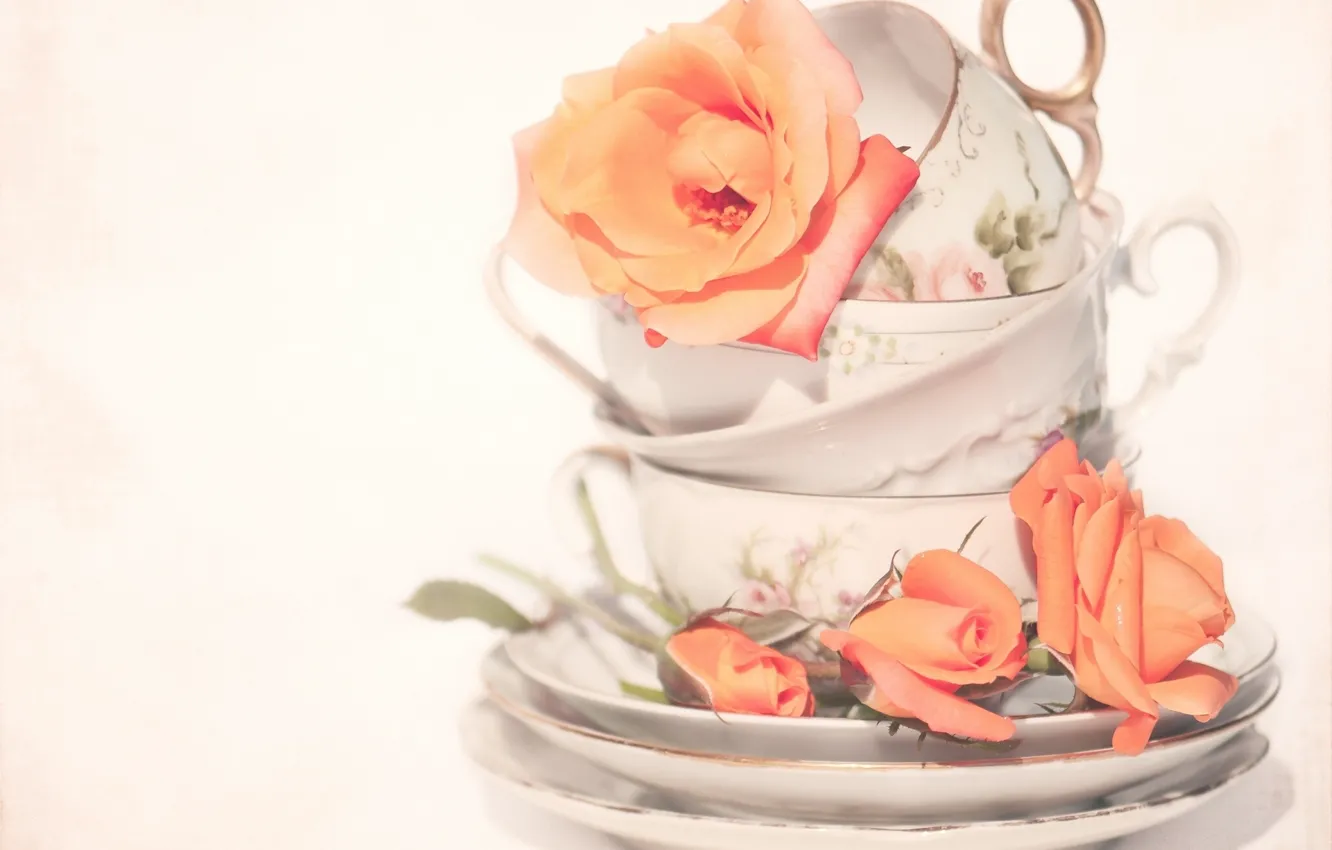 Фото обои розы, чашки, бутоны, блюдца