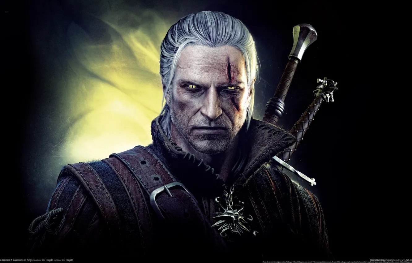 Фото обои взгляд, ведьмак, the witcher 2, assassins of kings