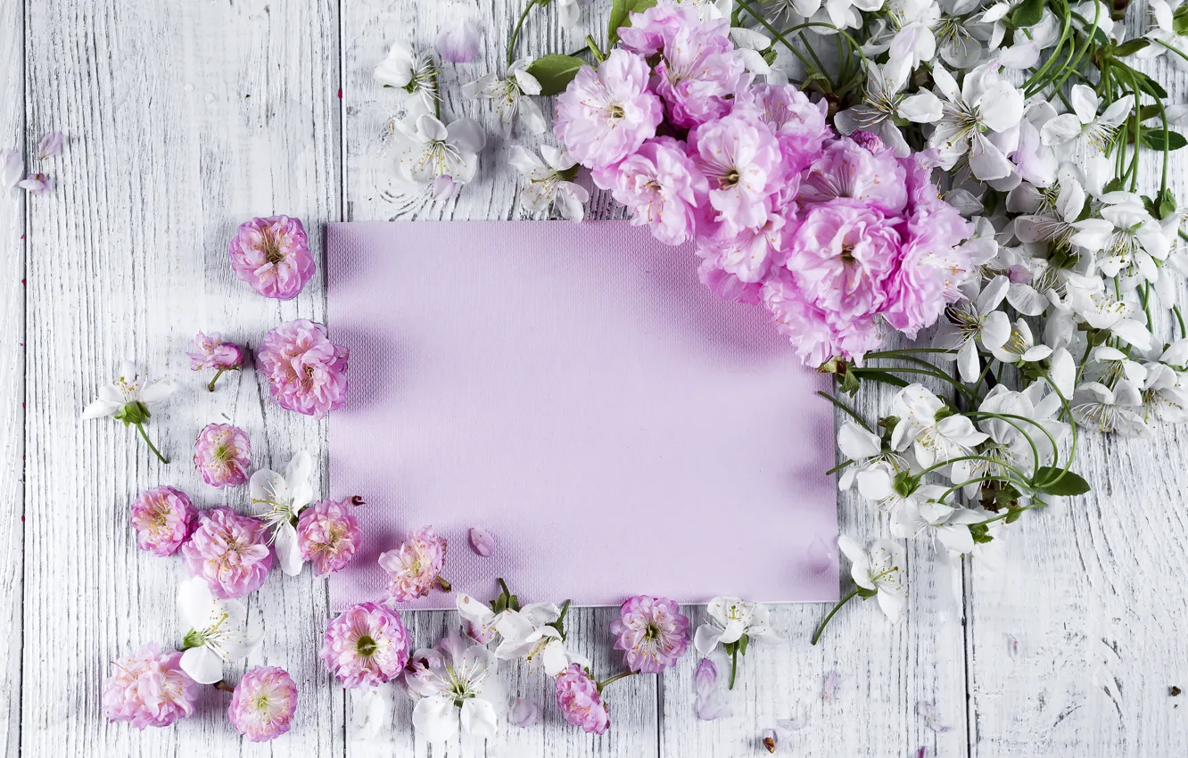 Фото обои цветы, розовые, wood, pink, flowers, beautiful, tender, frame