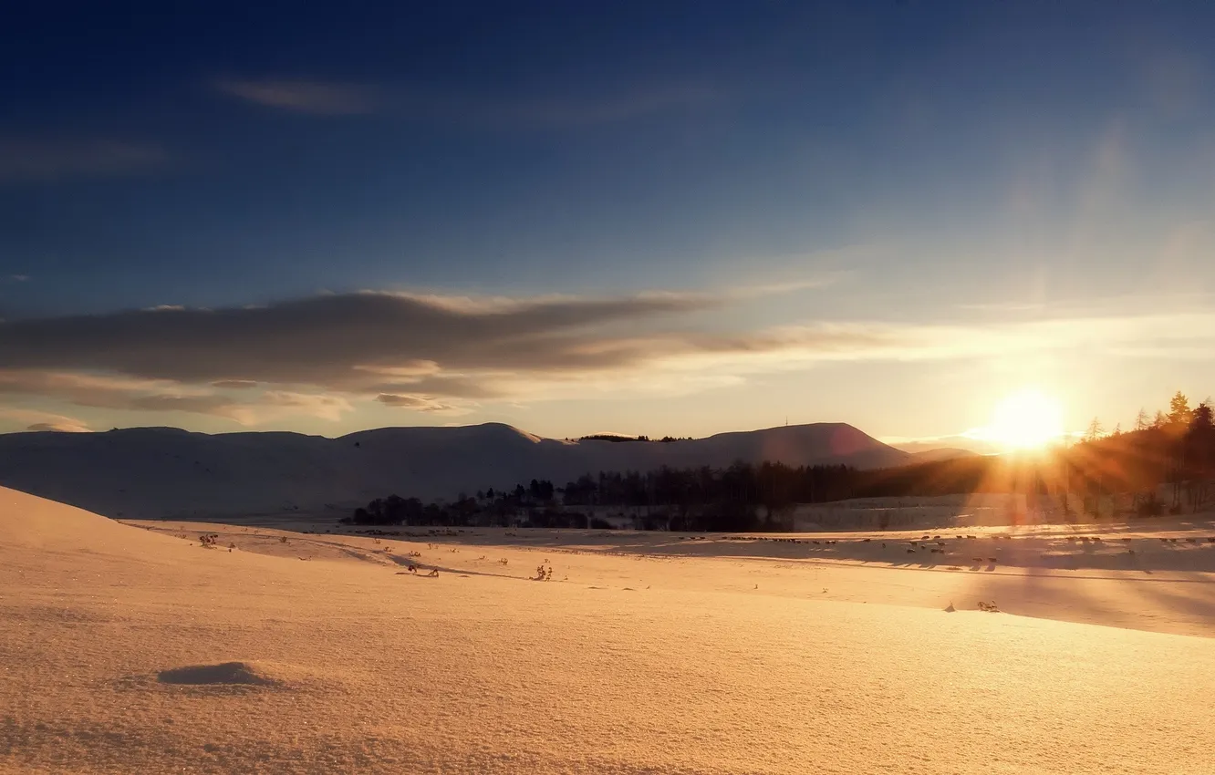 Фото обои зима, небо, солнце, лучи, снег, пейзаж, закат, природа