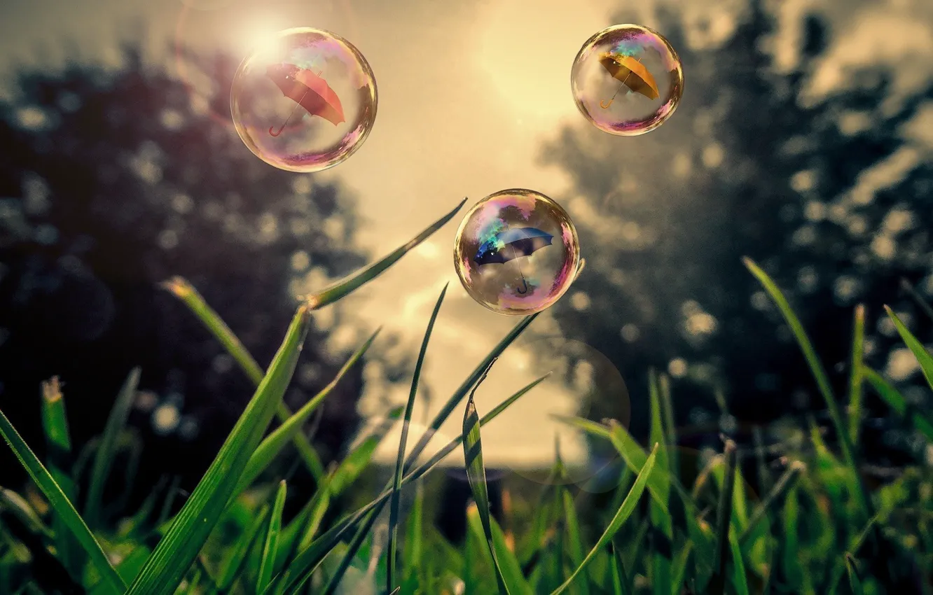 Фото обои трава, природа, пузырьки, зонт, bubbles, grass, nature, umbrella