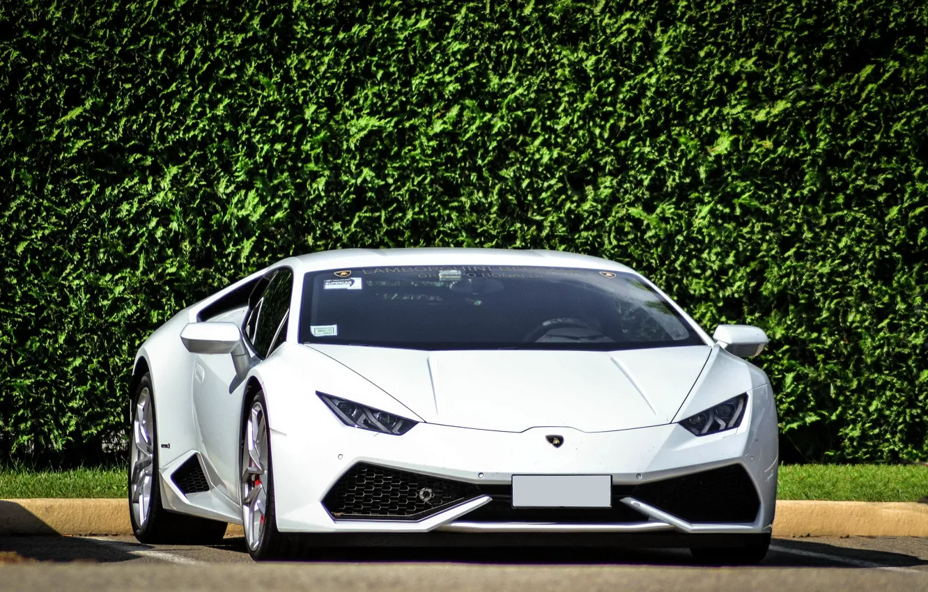 Фото обои Lamborghini, white, 2014, Huracan, LP610