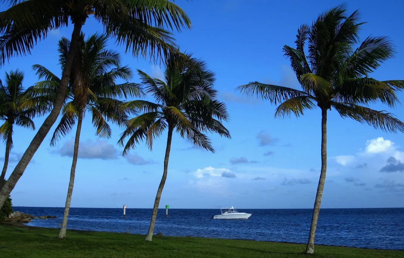 Фото обои тропики, пальмы, побережье, Майами, Флорида, катер, Miami, Florida