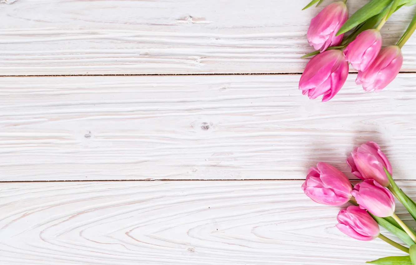 Фото обои цветы, тюльпаны, розовые, fresh, wood, pink, flowers, tulips