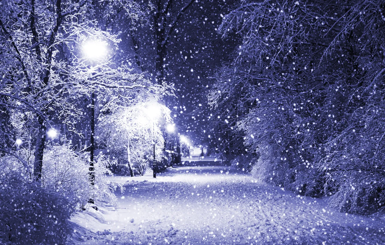 Фото обои зима, снег, деревья, ночь, парк, фонари