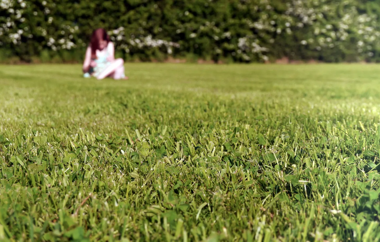 Фото обои поле, трава, девушка