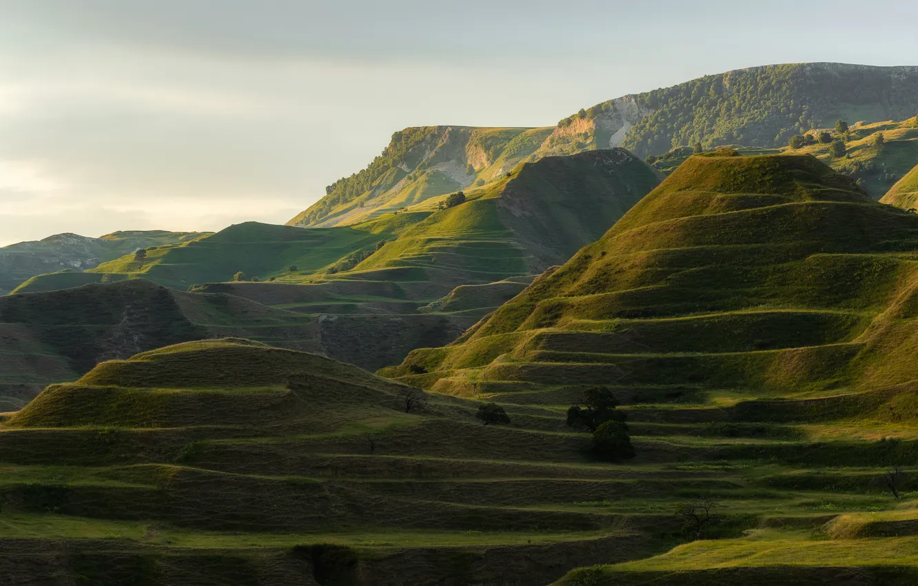 Фото обои green, hills, meadows