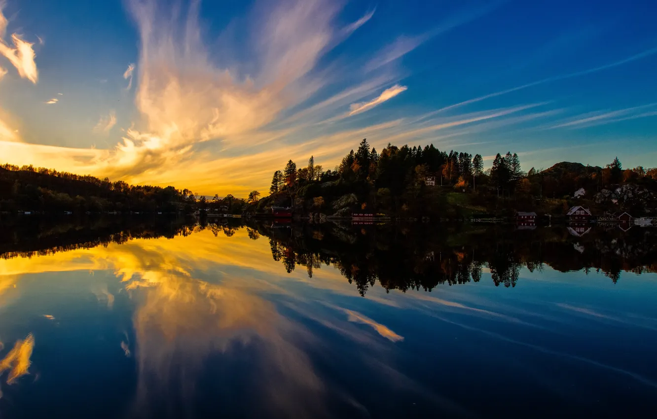 Фото обои деревья, озеро, отражение, дома, вечер, trees, lake, evening