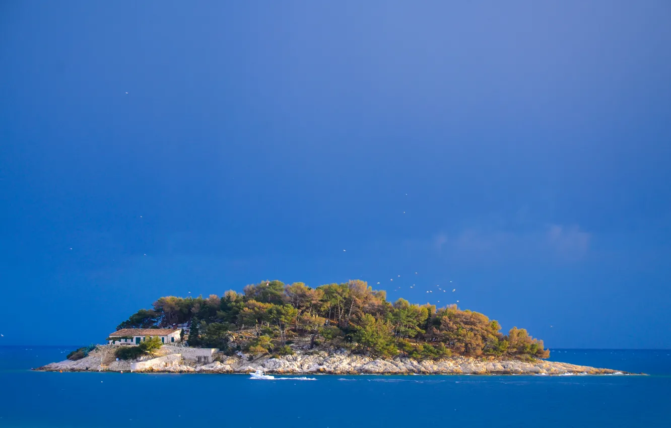 Фото обои island, Croatia, Adriatic Sea, Hvar, Galešnik