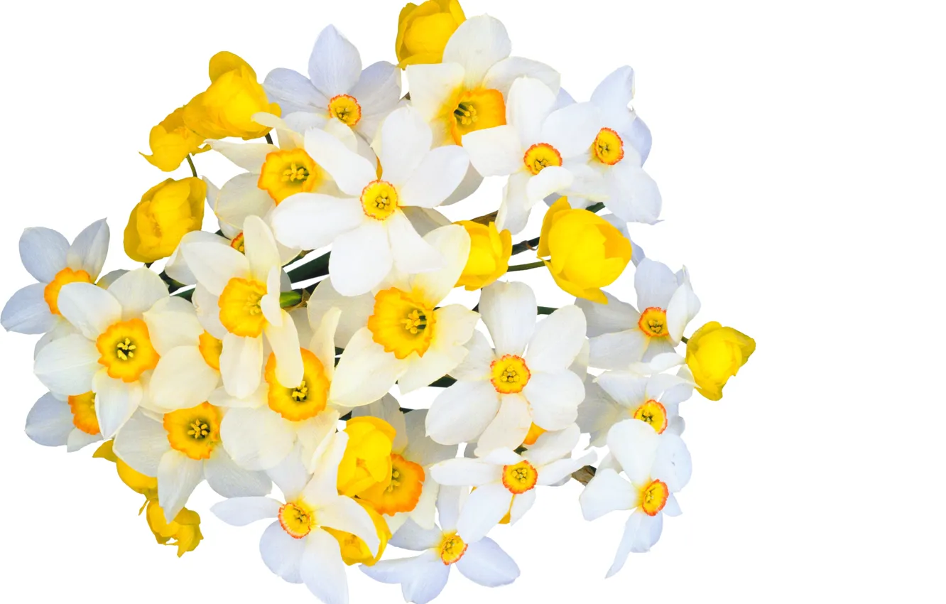 Фото обои цветы, свежесть, красота, букет, весна, white, белые, yellow