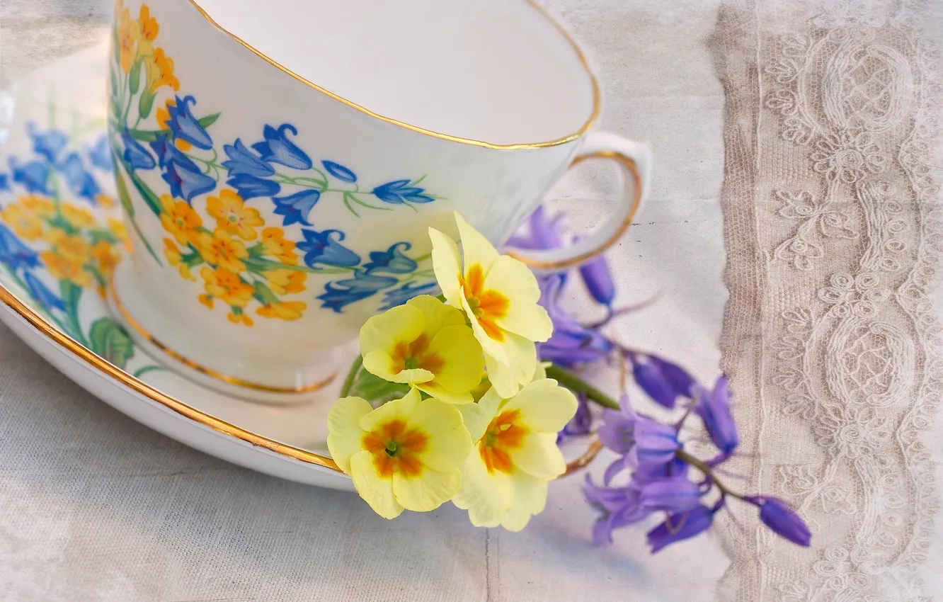 Фото обои цветы, чашка, желтая, блюдце, герань
