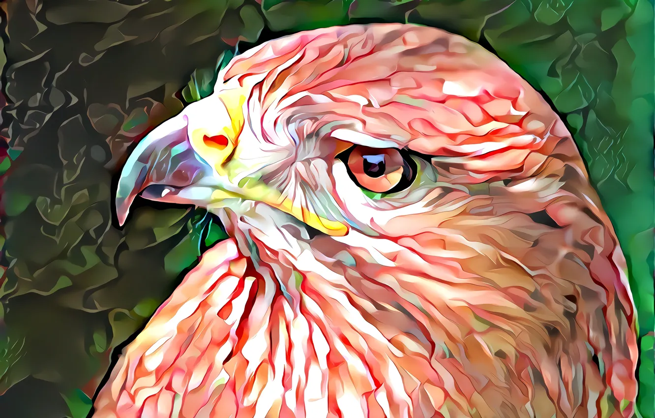 Фото обои птица, яркие цвета, компьютерный дизайн, оранжевая птица