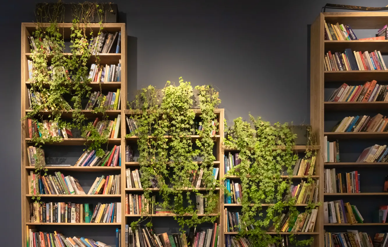 Фото обои книги, растения, полка, книжки, полки, books