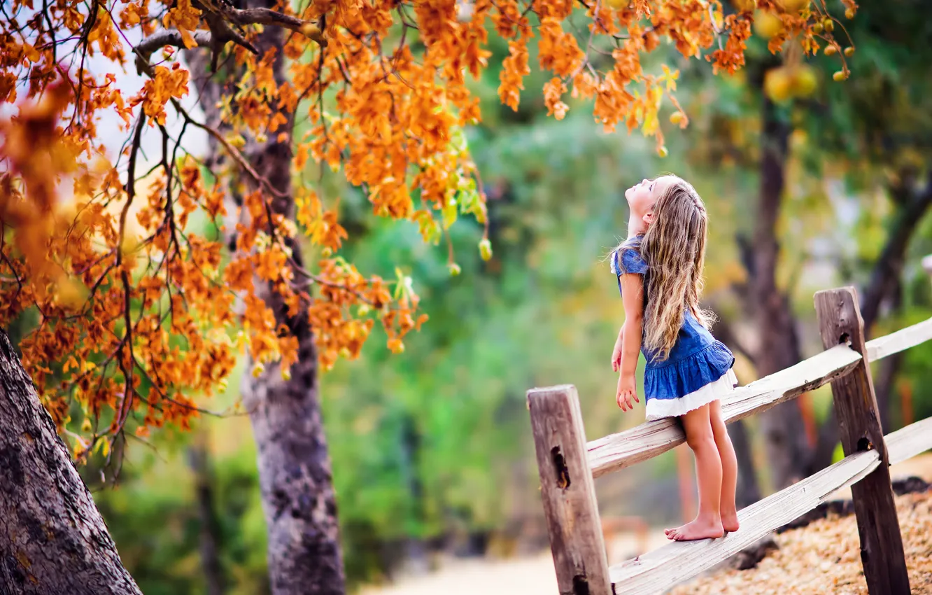 Фото обои деревья, листва, ограда, девочка, ребёнок