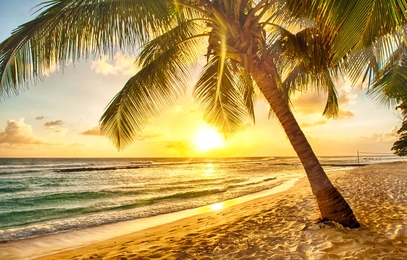 Фото обои песок, море, пляж, закат, тропики, пальмы, берег, beach