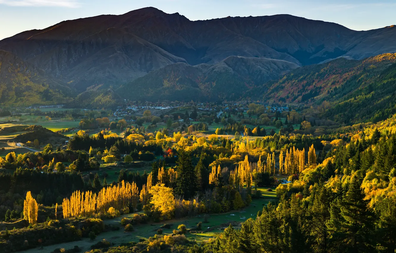 Фото обои лес, горы, New Zealand, Arrowtown, Otago, Arrow Junction