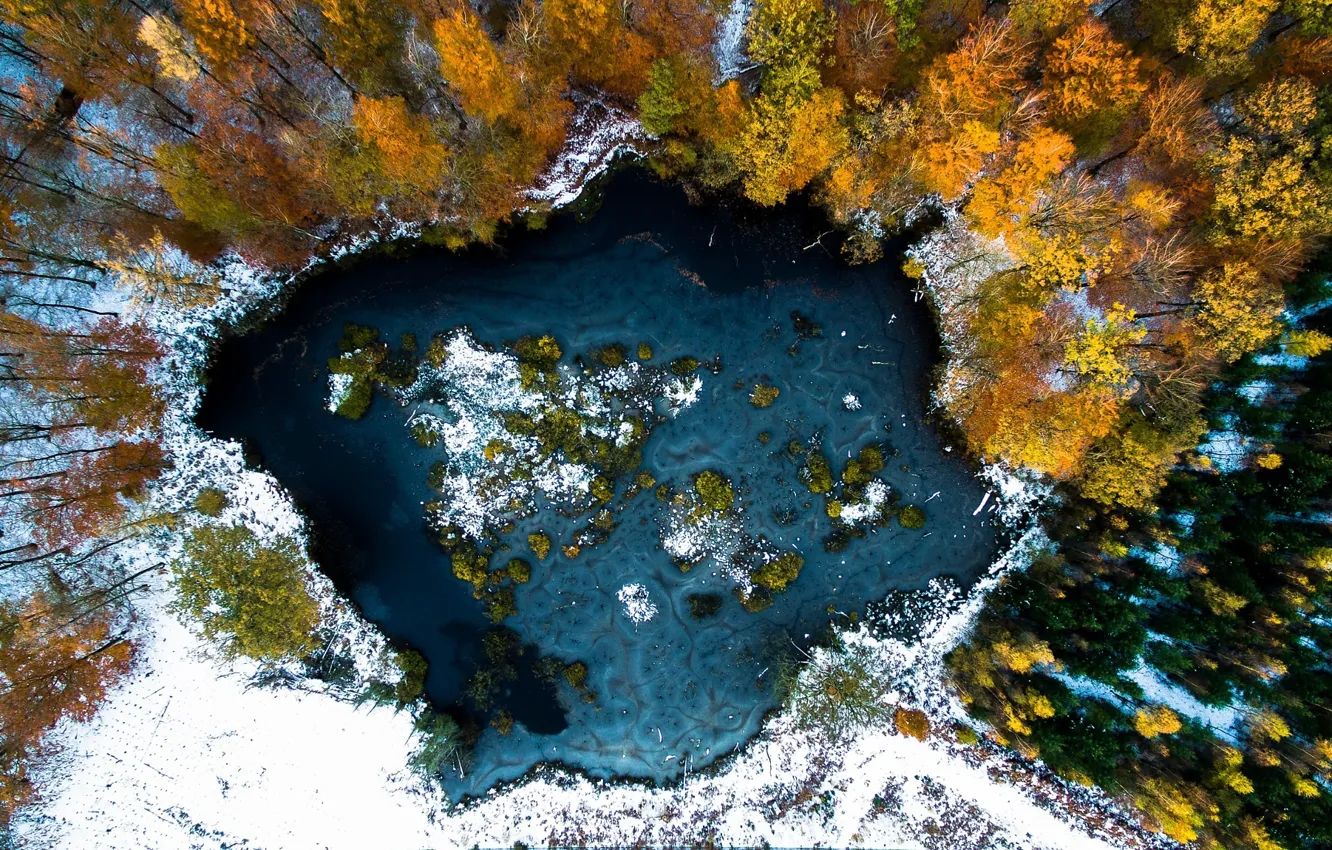 Фото обои зима, осень, снег, деревья, озеро, краски, вид сверху