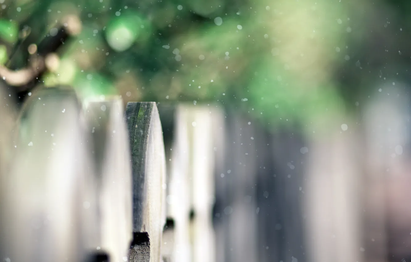 Фото обои зелень, забор, фокус, деревянный, кусты, snow, fence, время года