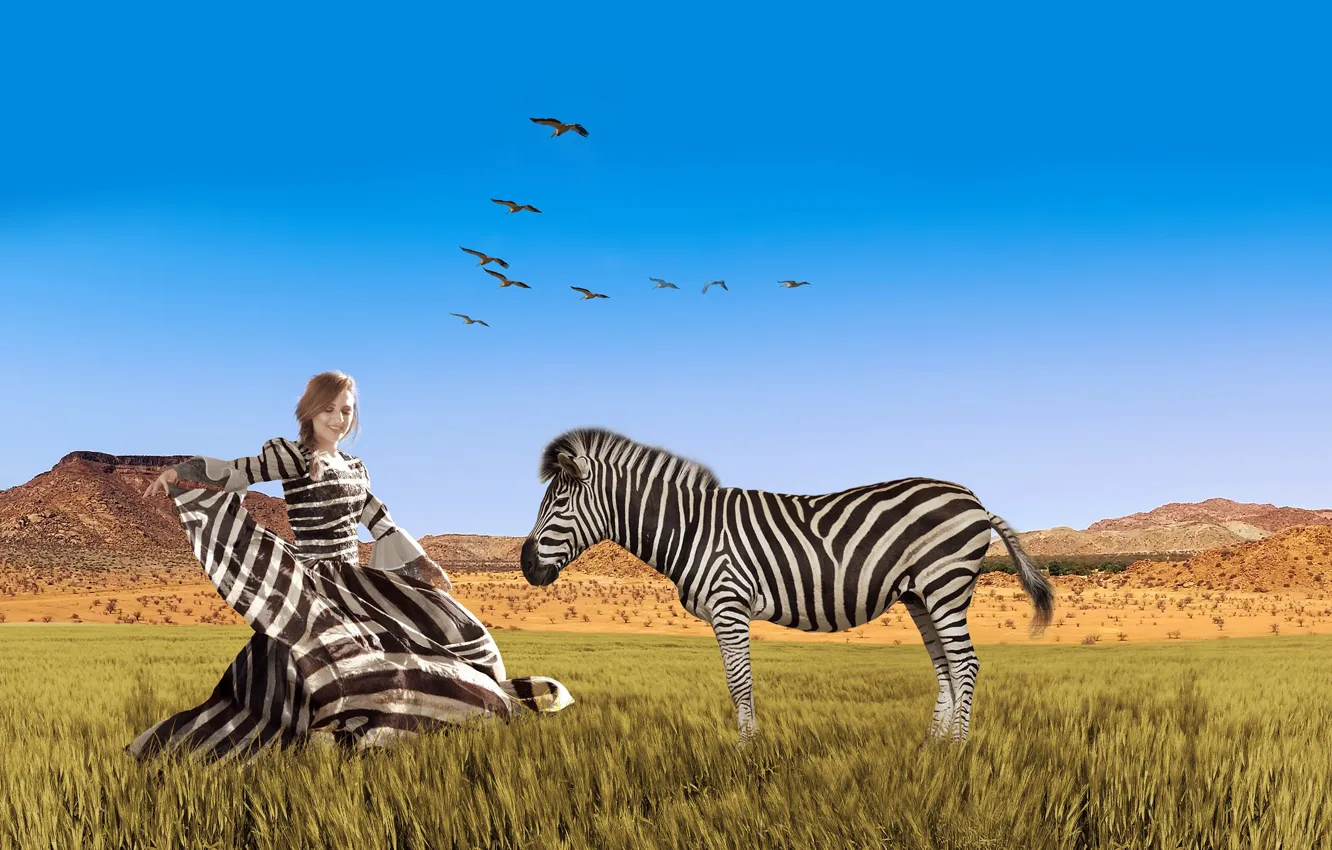 Фото обои трава, небо, полосатая, зебра, креатив, Африка, платье, равнина