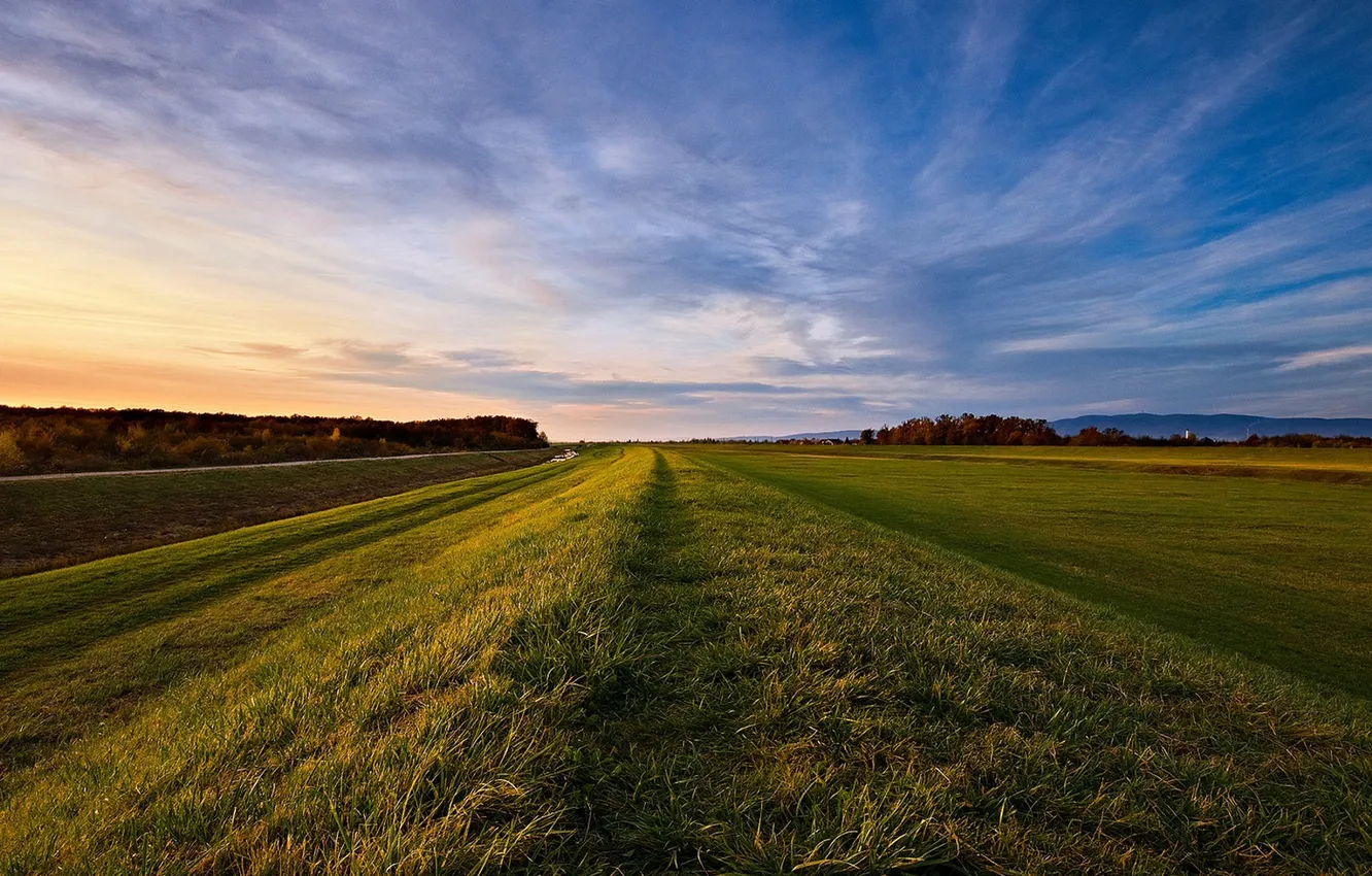 Фото обои поле, небо, трава