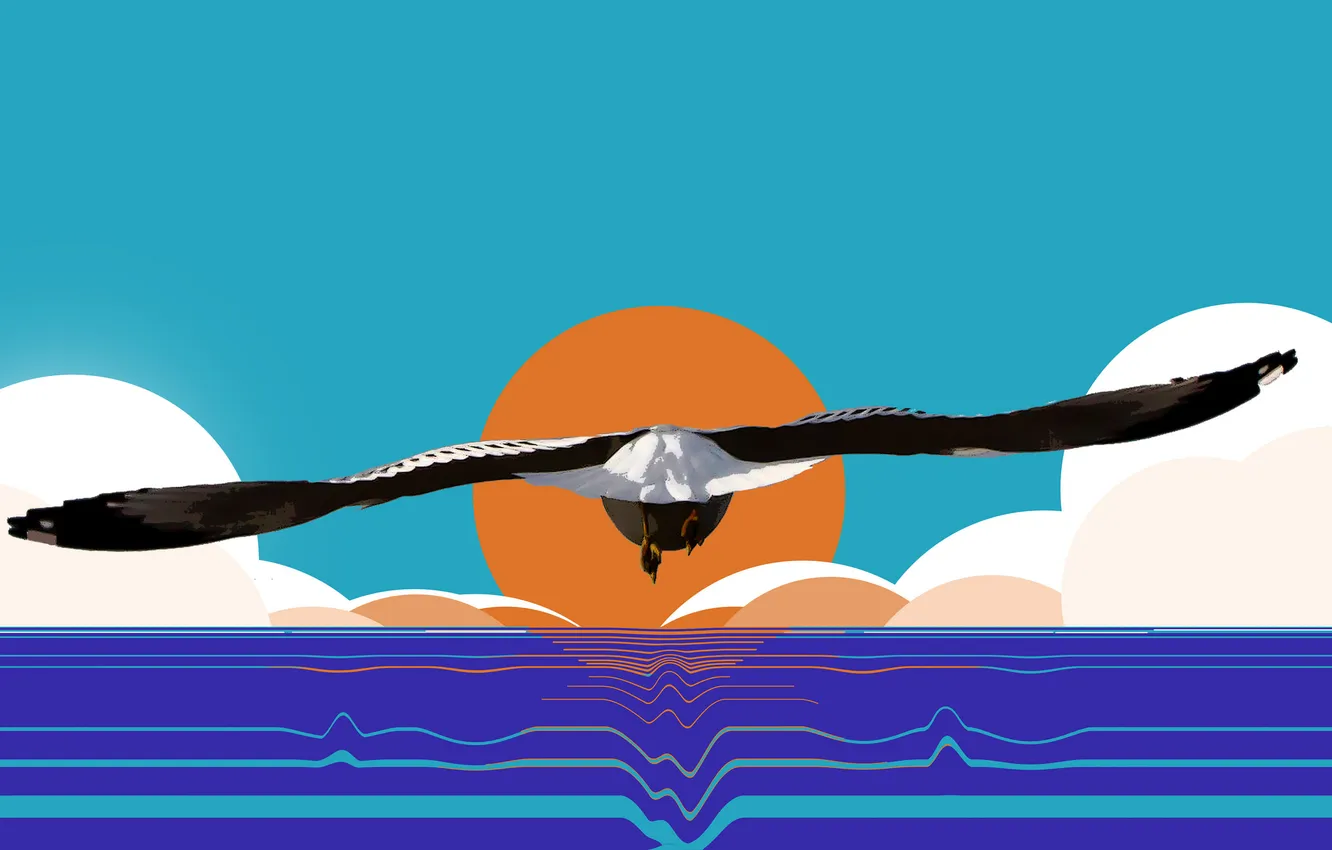 Фото обои море, солнце, птица, крылья, вектор