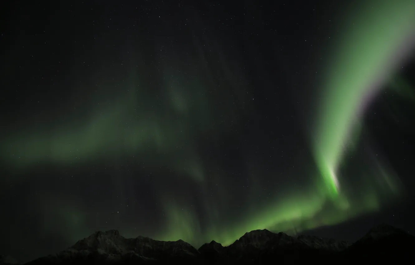 Фото обои green, sky, night, norway, aurora borealis, northenlights