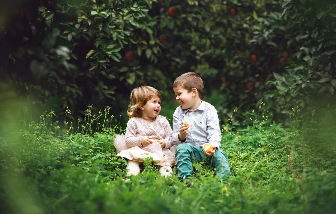 Фото обои трава, дети, апельсин, смех, мальчик, девочка
