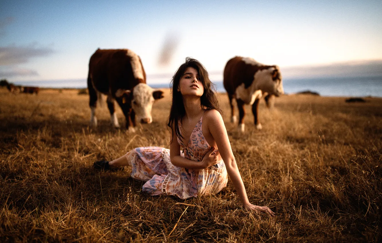 Фото обои девушка, коровы, Jesse Herzog
