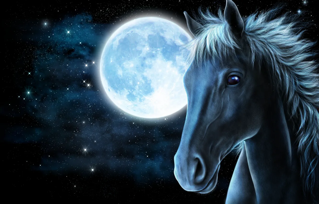 Фото обои морда, звезды, рендеринг, конь, луна, лошадь