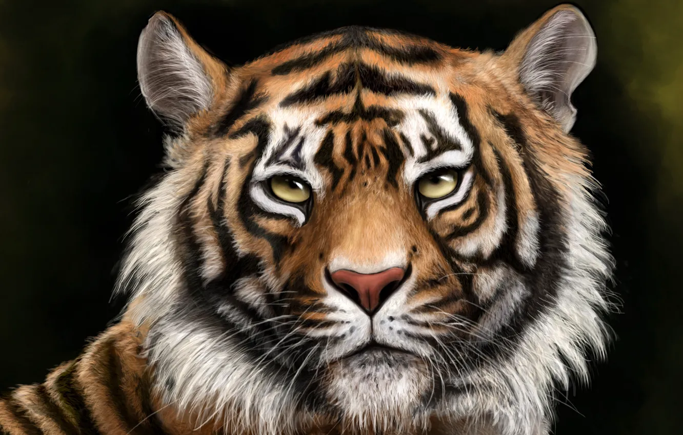 Фото обои морда, тигр, фон, рисунок, хищник, арт