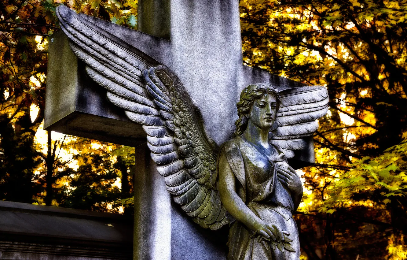 Фото обои крылья, крест, ангел