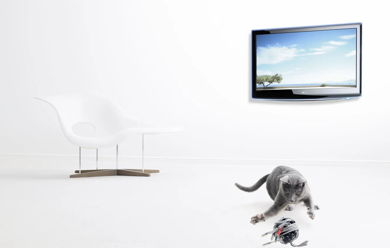 Фото обои клубок, телевизор, серый кот, Christophe Gilbert, современный стул